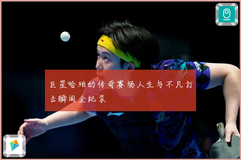 巨星哈珀的传奇赛场人生与不凡打击瞬间全纪录