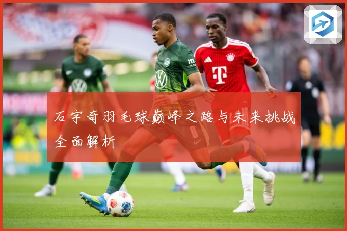 石宇奇羽毛球巅峰之路与未来挑战全面解析